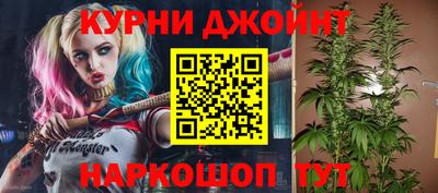 спайс Тара