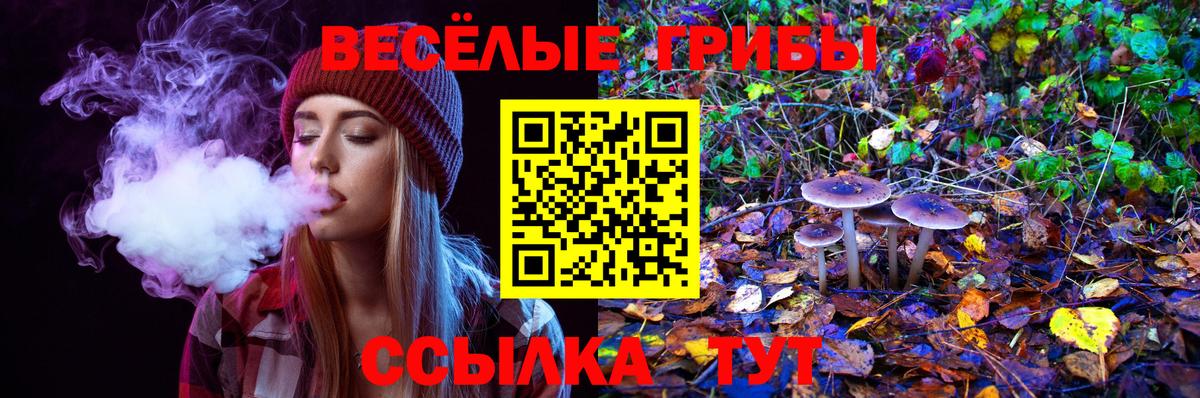 Псилоцибиновые грибы мухоморы Нальчик
