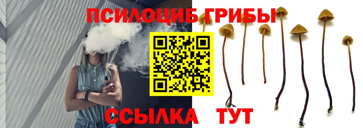 Нальчик  Псилоцибиновые грибы мухоморы  Вход с VPN 